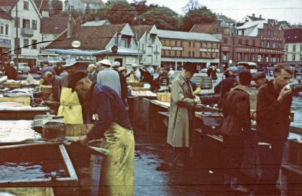 1959-06-03 Havnen i Stavanger
Nøgleord: lejrskole