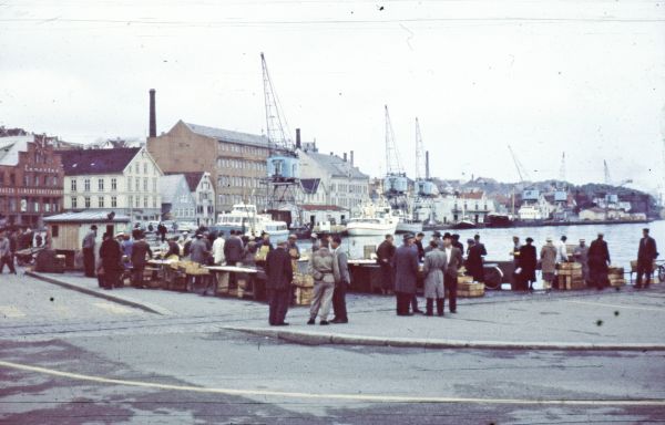 1959-06-03 Havnen i Stavanger
Nøgleord: lejrskole